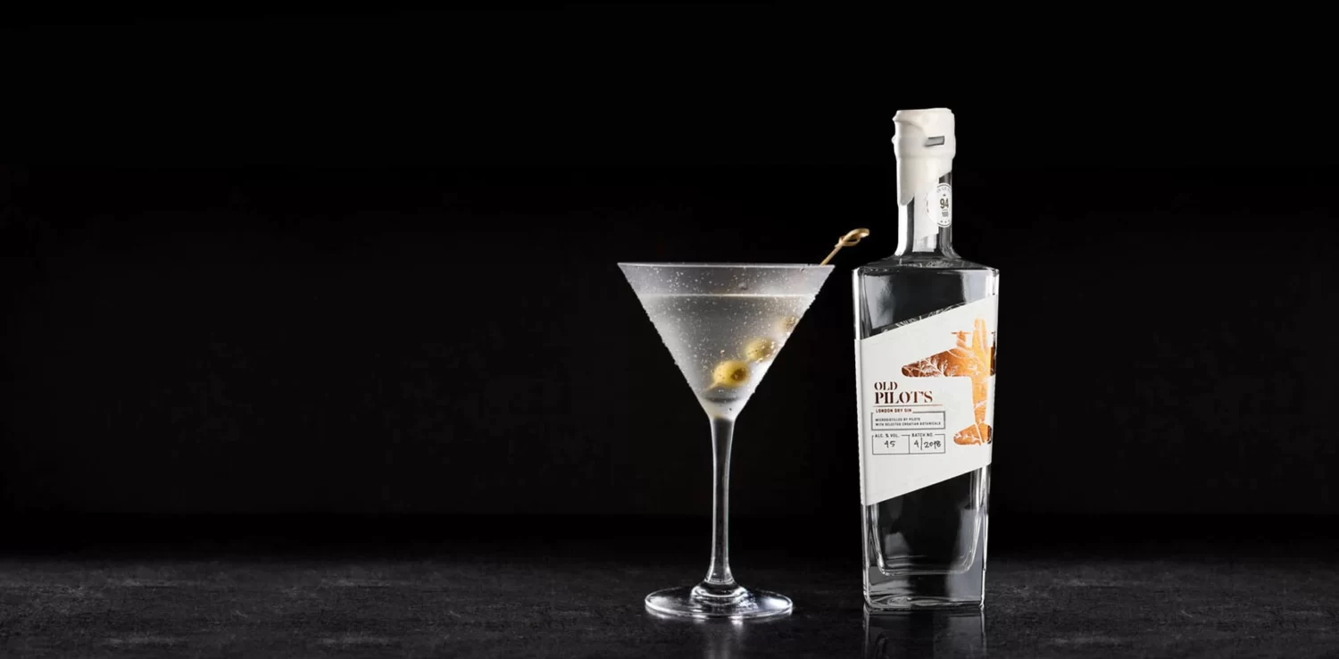 gin-pilot-1