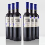 Set Vranac Anđelić 6x0,75L