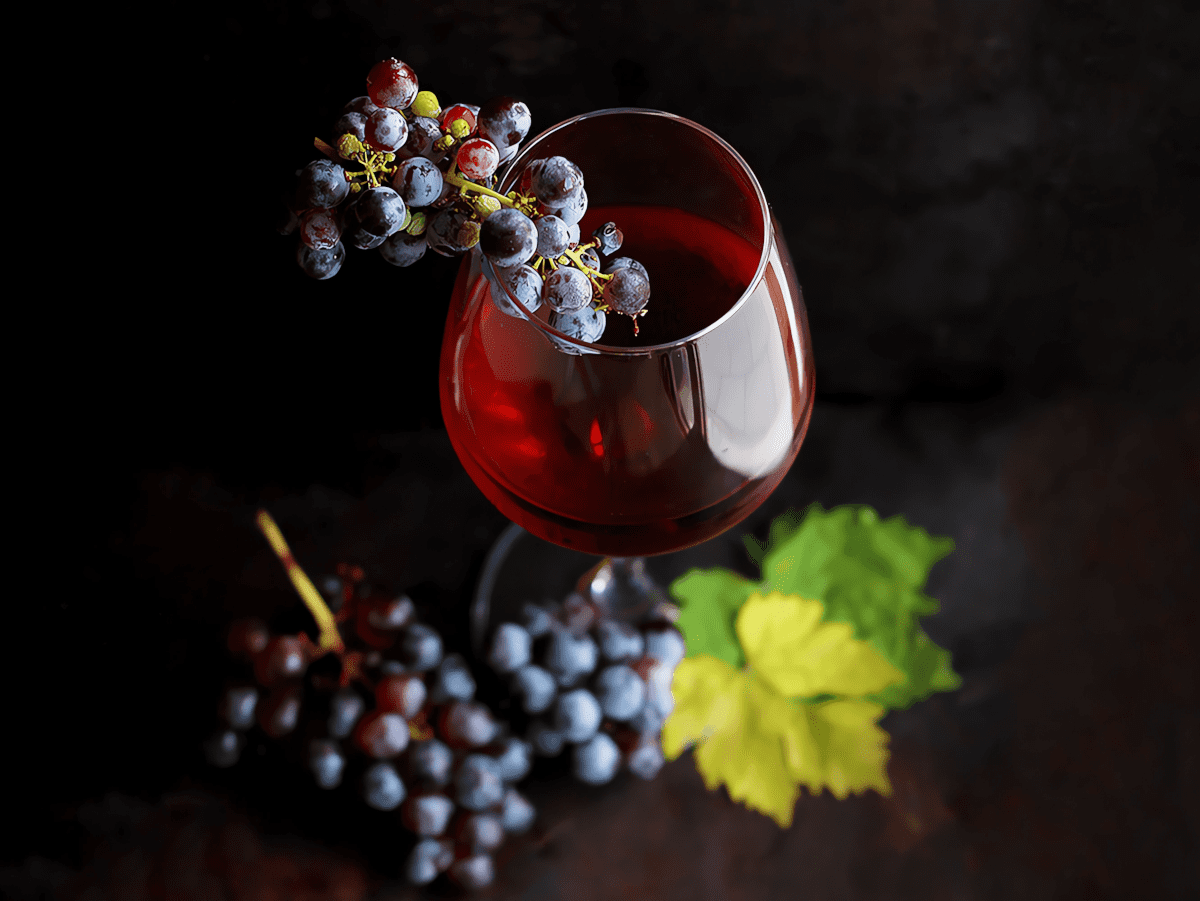 Kako vina iz Bosne i Hercegovine postaju sve popularnija u svijetu?