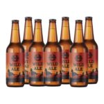 Pivo Livanjka Wild Ale 20x0,33L