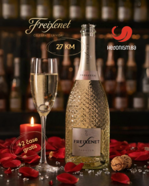 Pjenušac Freixenet Prosecco 0,75L + 2 čaše gratis